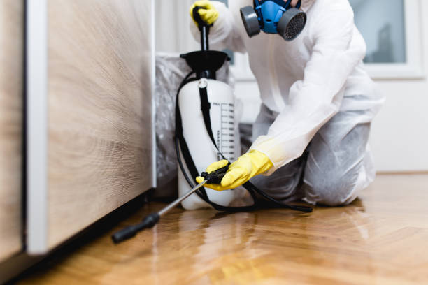 Best Pest Removal Services  in South Miami Heights, FL