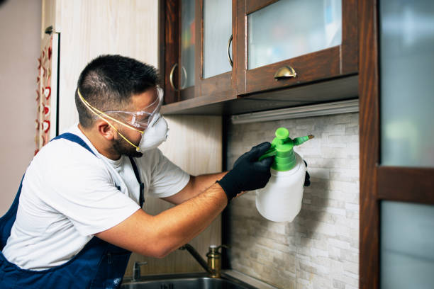 Best Pest Inspection Near Me  in South Miami Heights, FL