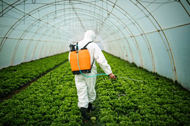 Best Pest Removal Services  in South Miami Heights, FL